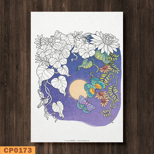 Moths Coloring Page
