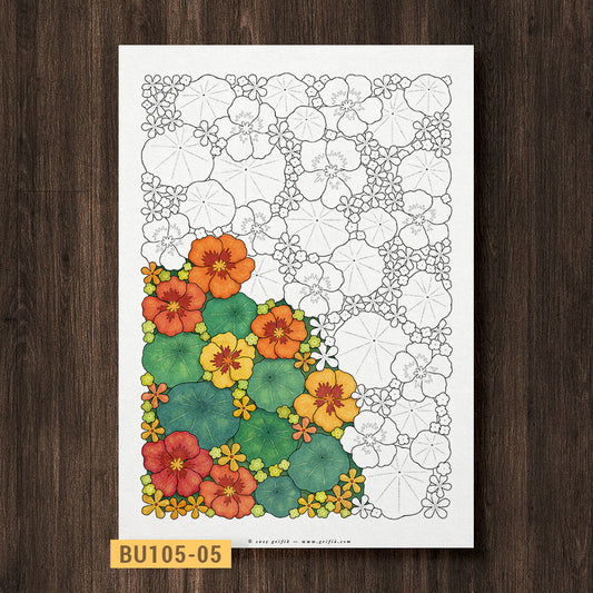 Whimsy Garden - Nasturtium Coloring Page
