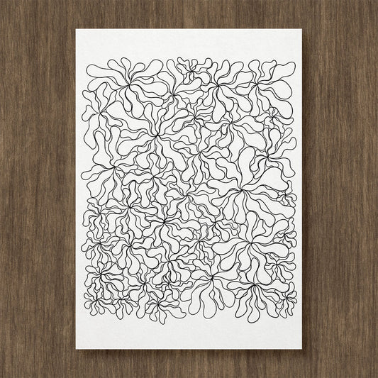 Chrysanthemums Coloring Page